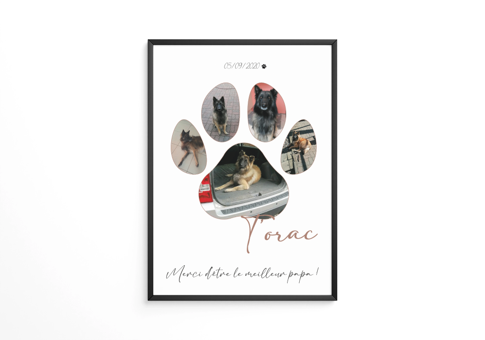 Affiche Patte de chien